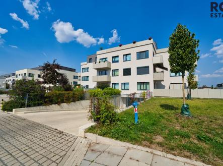 Zizkova-43 | Pronájem bytu, 3+kk, 65 m²