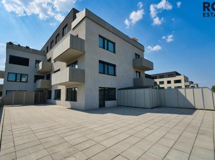 Zizkova-17 | Pronájem bytu, 3+kk, 65 m²