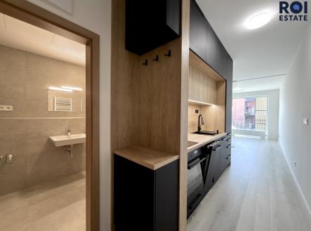 IMG_1622 | Pronájem bytu, 1+kk, 38 m²