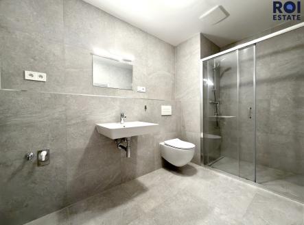 IMG_1582 | Pronájem bytu, 1+kk, 38 m²