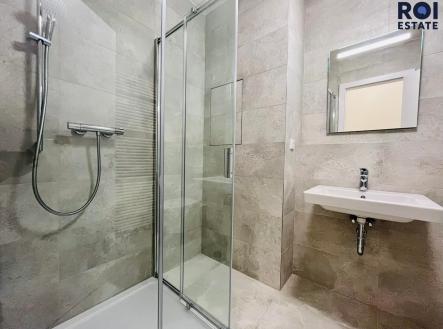 312576341_1135543920670050_2083605429251130646_n | Pronájem bytu, 1+kk, 30 m²