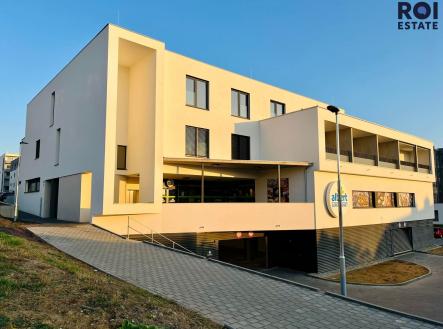 312491283_867545794273294_8376187212711407850_n | Pronájem bytu, 1+kk, 30 m²