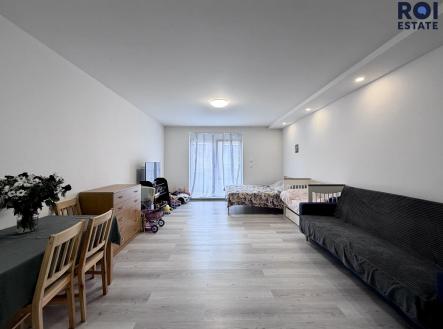 fd04dbd8-4d08-4b5a-8fe2-c519519b4ff7 | Pronájem bytu, 1+kk, 49 m²