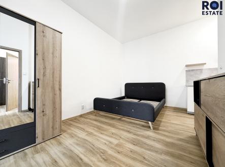 IMG_4797 | Pronájem bytu, 1+kk, 25 m²