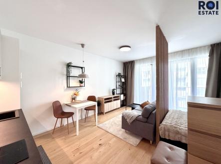 IMG_4154 | Pronájem bytu, 1+kk, 43 m²