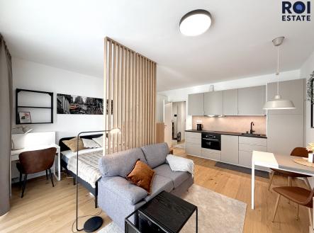 IMG_4161 | Pronájem bytu, 1+kk, 43 m²