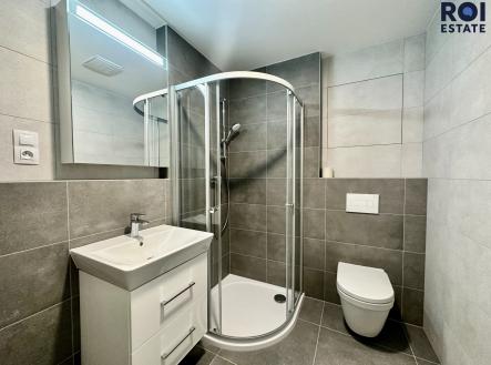 IMG_3338 | Pronájem bytu, 1+kk, 33 m²