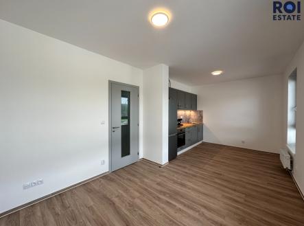 IMG_3240 | Pronájem bytu, 1+kk, 33 m²