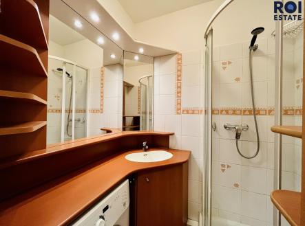 436354528_1467806837464170_292716376489963432_n | Pronájem bytu, 1+1, 36 m²