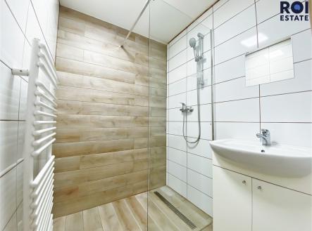 IMG_4226 | Pronájem bytu, 3+kk, 58 m²