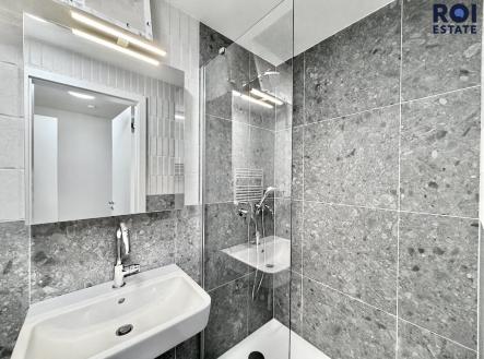 IMG_4766 | Pronájem bytu, 1+kk, 25 m²