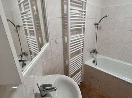 IMG_1922 | Pronájem bytu, 1+1, 32 m²