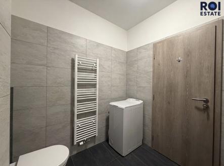 IMG_7771 | Pronájem bytu, 1+kk, 31 m²