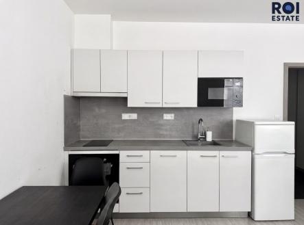 IMG_7772 | Pronájem bytu, 1+kk, 31 m²