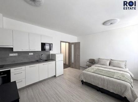 IMG_7774 | Pronájem bytu, 1+kk, 31 m²