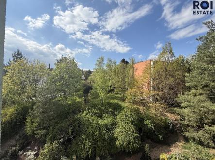 IMG_5723 | Pronájem bytu, 3+1, 75 m²