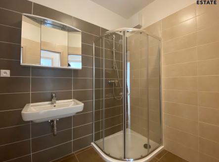 11 | Pronájem bytu, 2+kk, 50 m²