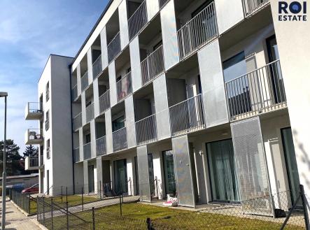 IMG_3102 | Pronájem bytu, 2+kk, 50 m²