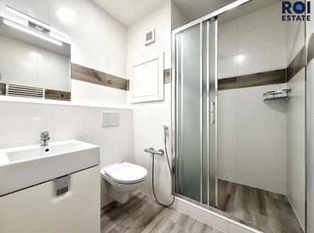 IMG_7867 | Pronájem bytu, 1+kk, 24 m²