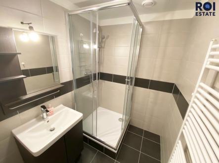 lwHO74+VTiqD3b8wdU2LSw_thumb_1163 | Pronájem bytu, 2+1, 56 m²