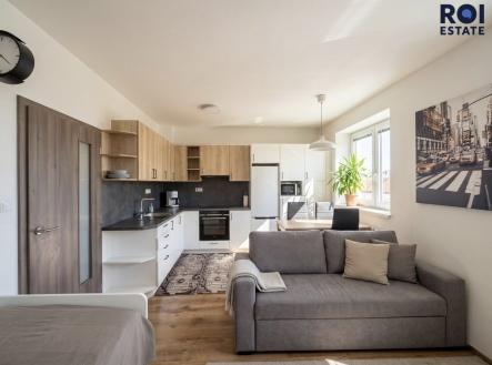 4fa639c0-13f9-4a02-bc0b-1c2961e2cfab | Pronájem bytu, 1+kk, 33 m²