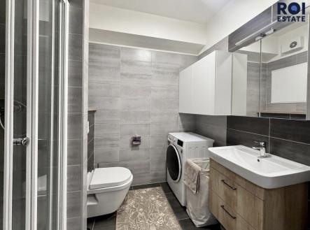 4e4bb120-adaa-4202-a5ca-5718ab780c7c | Pronájem bytu, 1+kk, 33 m²