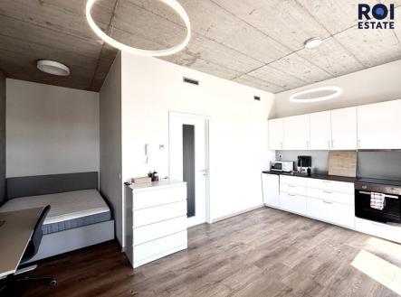 206453dc-220e-401c-8c5c-c27bb7deabc2 | Pronájem bytu, 1+kk, 34 m²