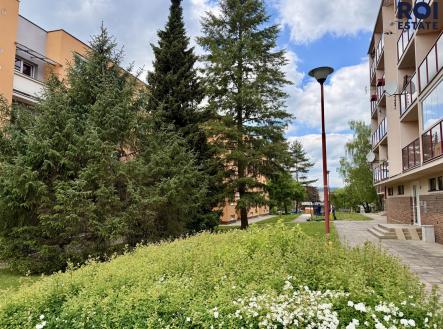 IMG_1698 | Pronájem bytu, 2+1, 59 m²
