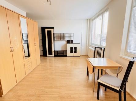 IMG_2811 | Pronájem bytu, 1+kk, 35 m²