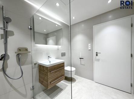 IMG_4728 | Pronájem bytu, 1+kk, 38 m²