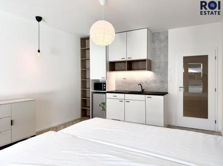 IMG_4665 | Pronájem bytu, 1+kk, 38 m²