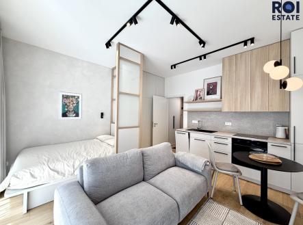 IMG_4091 | Pronájem bytu, 1+kk, 33 m²