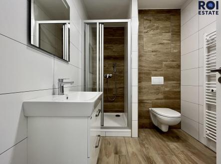 452043957_1036405091430226_352853515429737193_n | Pronájem bytu, 2+kk, 43 m²