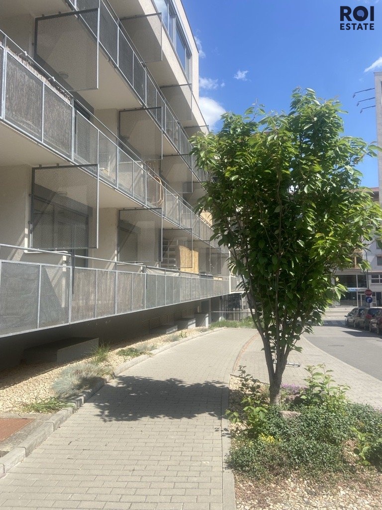 Image (1)