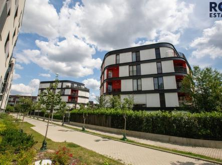 IMG_7433 | Pronájem bytu, 1+kk, 39 m²