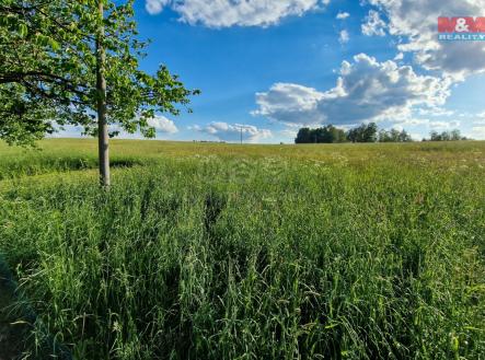 20220601_185631.jpg | Prodej - pozemek, trvalý travní porost, 1 714 m²