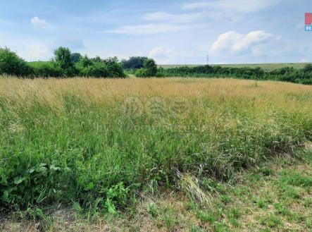 20220628_160020.jpg | Prodej - pozemek, zemědělská půda, 1 000 m²