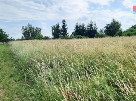 20220628_160120.jpg | Prodej - pozemek, zemědělská půda, 1 000 m²