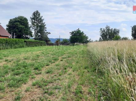 20220628_160130.jpg | Prodej - pozemek, zemědělská půda, 1 000 m²