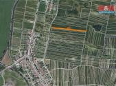 Prodej - pozemek, zemědělská půda, 250 m²
