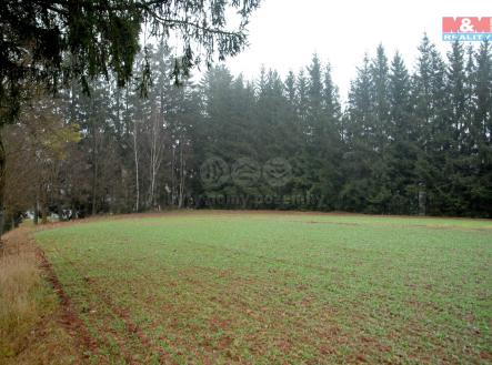Prodej - pozemek, zemědělská půda, 2 465 m²