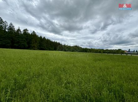 Prodej louky, 7933 m², Svojetice | Prodej - pozemek, trvalý travní porost, 7 933 m²