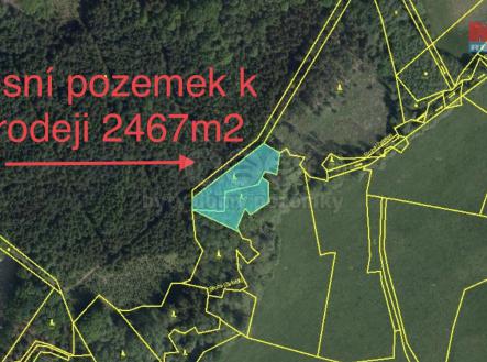 Prodej - pozemek, les, 2 467 m²