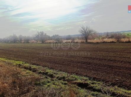 IMG_20230322_152801.jpg | Prodej - pozemek, zemědělská půda, 5 910 m²