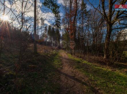 _MG_8235.jpg | Prodej - pozemek, trvalý travní porost, 4 692 m²