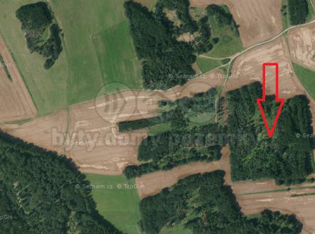 Prodej - pozemek, les, 2 817 m²
