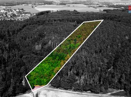 Prodej - pozemek, les, 100 175 m²