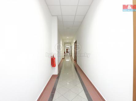 Pronájem - kanceláře, 89 m²