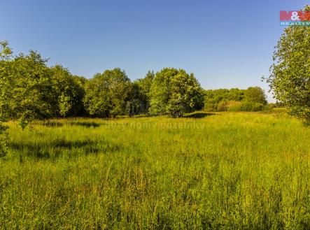 pohled na pozemek | Prodej - pozemek, zemědělská půda, 124 828 m²