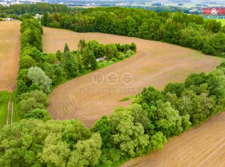 Prodej - pozemek, zemědělská půda, 2 748 m²